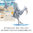 TERRAVIST スターターセット